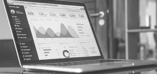 Charts with statistics on a laptop screen